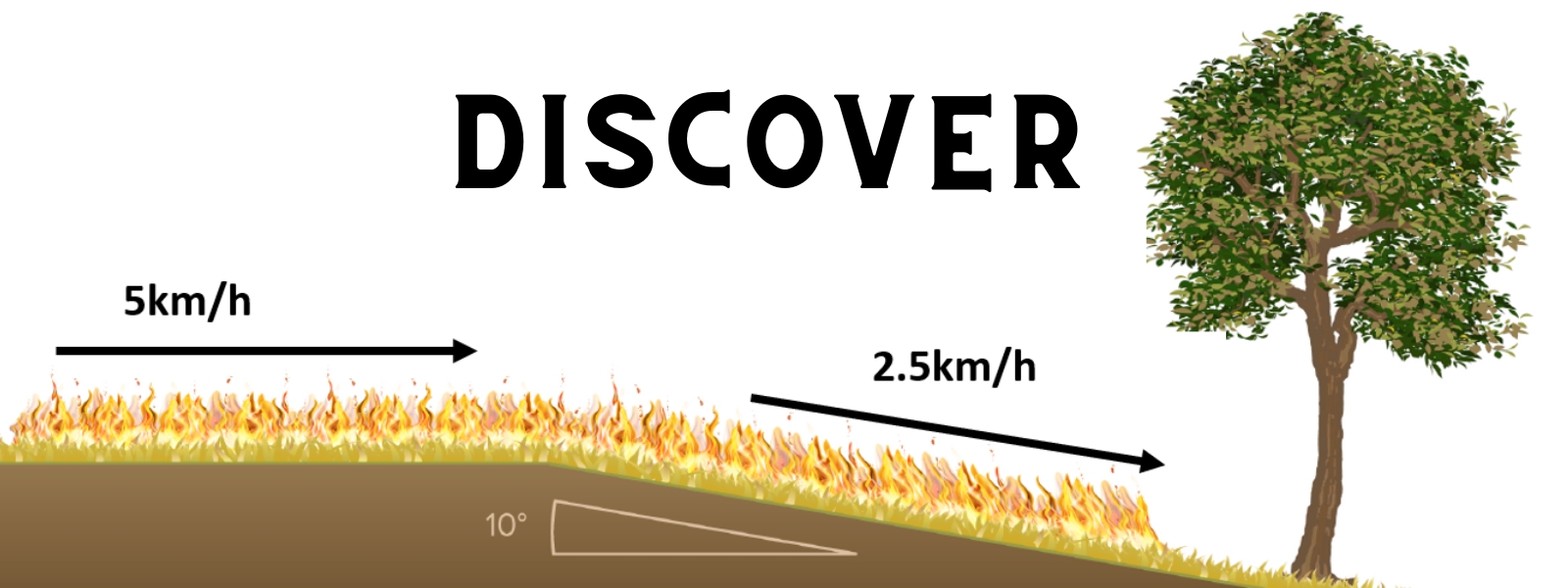 Discover Banner