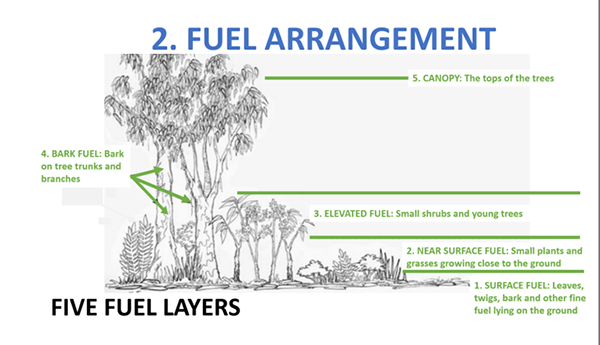 bushfires-fuels-treasure-hunt-worksheet