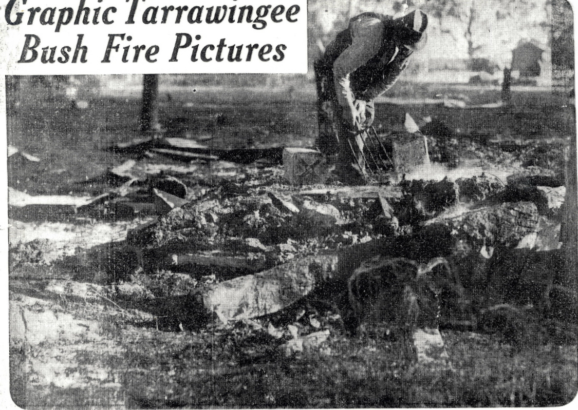 Newspaper cut out of Tarrawingee fire 1943